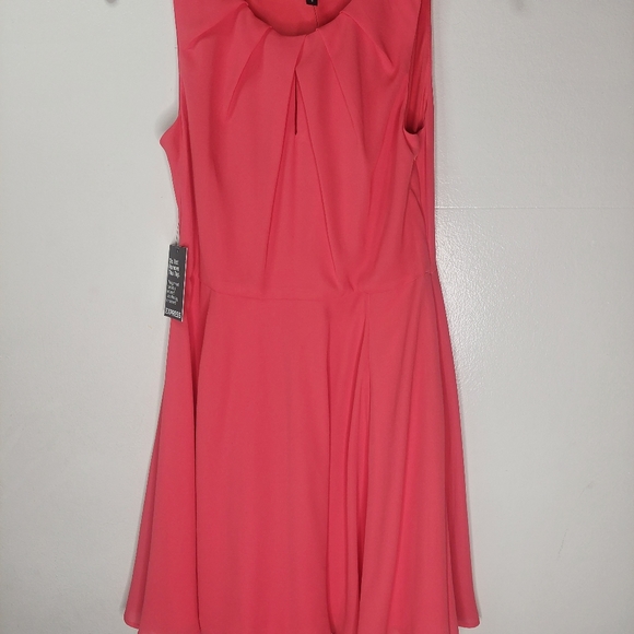 Express Dress - Picture 1 of 5
